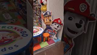 PAW PATROL giant poster shorts [upl. by Sadnac]