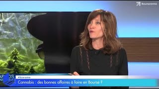 Cannabis  ces valeurs boursières multipliées par 4 en seulement 6 mois [upl. by Innoj708]