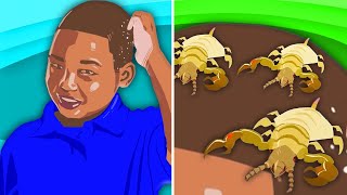 What Are Lice amp How Do You Get Rid Of Them  The Head Lice Song For Kids  KLT [upl. by Erodavlas]