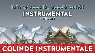 Ian te scoală gazdă bună ❄️ INSTRUMENTAL karaoke [upl. by Agripina496]