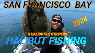 HALIBUT FISHING SF BAY 2024 ROUND 2 🔥👍💯🎣 [upl. by Desiree]