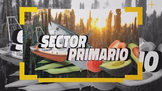 Sector Primario 17 enero 2024 17 01 24 [upl. by Jerad]