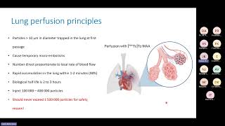 Lecture 10 Lung ventilation and perfusion [upl. by Mack]