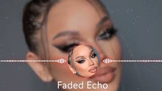 Faded Echo Remix 2024  Atmospheric Reverie by Dreamscape Collective  Original Track by Alan Walker [upl. by Hamnet]