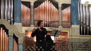 W A Mozart  Rondo in D  Vytenis Gurstisflute Virginia Survilaiteorgan [upl. by Eilah]