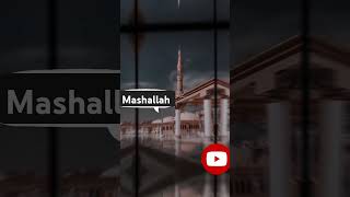 Beshaq Mashallahsubhanllah youtubeshorts [upl. by Ivan108]