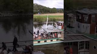 Dampfer quotStadt Wehlenquot passiert die Brücke Niederwarta in Richtung Meißen [upl. by Farrish]