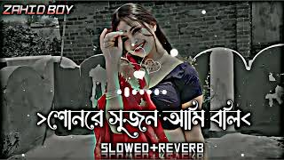 Sonre sujon ami boli je tore শোনরে সুজন আমি বলি যে তোরে Slowed Reverb Lofi Song [upl. by Grous]