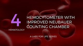 Hemocytometer with improved Neubauer Counting Chamber [upl. by Nadaha]