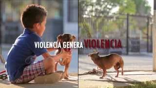 Violencia Familiar  Violencia Génera Violencia [upl. by Mikkel]