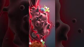 Difference between osteoarthritis and rheumatoid arthritis in hindi  Horizon Hospital [upl. by Eceeryt]