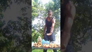 Ackee its uses and benefits for health pt1 [upl. by Deering200]