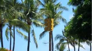 Federal Signal EOWS 612 Kahaluu Beach Park 8111 [upl. by Kezer814]