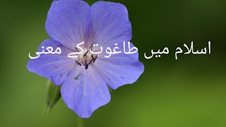 Taghoot kya haiDrisrar AhmadTaghut Meaning [upl. by Tiloine121]