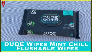 Dude Wipes Mint Chill Flushable Wipes  MumblesVideos Product Review [upl. by Esinev]