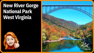 Fall Colors New River Gorge National Park West Virginia [upl. by Neerahs]