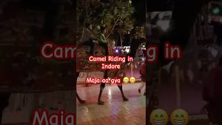 Camel riding ytshort short running rider walk [upl. by Mancino892]