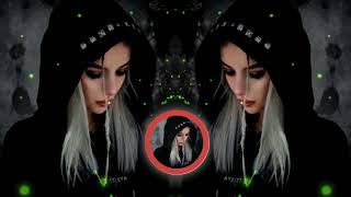 Arabic Remix  Swaha  Faded  Tik tok Trending  Minimix  English  Alan Walker  2024 [upl. by Nottnerb473]