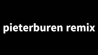 pieterburen remix [upl. by Ferguson590]