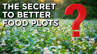 The Secret To Maximize Your Perennial Food Plots [upl. by Sweyn]