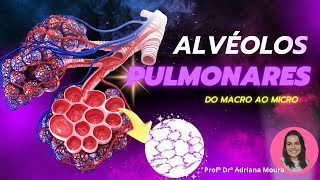 Sistema Respiratório alvéolos pulmonares [upl. by Eardnaed]