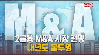 2금융 MampA 시장 전망 내년도 불투명 말하는 기자들금융산업1101 [upl. by Castorina]