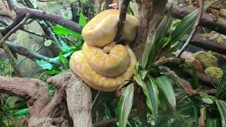 Jesolo Tropicarium Park 🦈 Venezia Italy in 4k [upl. by Earazed780]