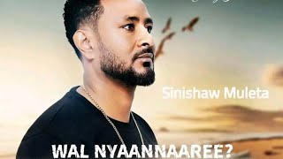 Sinishaw Muleta new music oromo video [upl. by Sturges377]