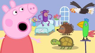 Peppa Learns About Animals at The Vets 🐷🏥 Peppa Pig  Nursery Rhymes and Kids Songs [upl. by Ardnoik705]