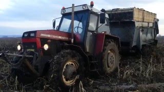 Zetor Crystal 10145 Turbo Original sound [upl. by Sixla]