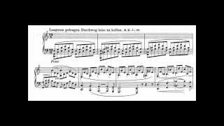 Vladimir Horowitz plays Schumann Fantasie op 17 in C major 33 [upl. by Hofstetter]