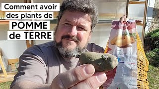 Comment avoir des PLANTS de POMMES de TERRE germés à planter 🥔『TUTO』 [upl. by Champ]