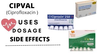 cipval 500 mg uses in urducipval ciprofloxacin ciprofloxacin 500mg uses Dosage and side effects [upl. by Akeyla]