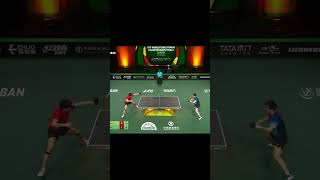 Fan Zhendong vs Wang Chuqin best point fanzhendong wangchuqin tabletennis pingpong wtt best [upl. by Nona]