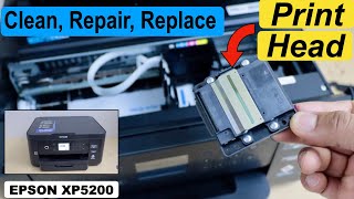 Epson XP5200 Print Head Cleaning Replace or Repair The Printhead Manually [upl. by Jadwiga]