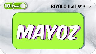 10 Sınıf Biyoloji Mayoz Basit Konu Anlatım 2023 [upl. by Appolonia]