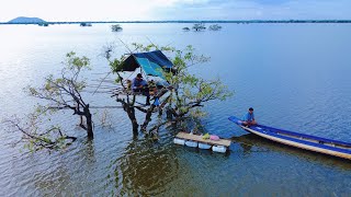 Tent On The Top Of The Tree 2 nights And 3 days  Cambodia 🇰🇭 បោះតង់លើចុងឈើ [upl. by Jessalin989]