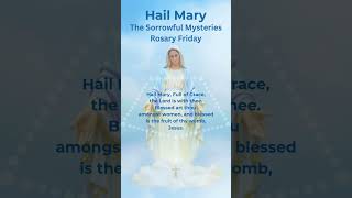 Hail Mary  Rosary Prayer  Rosary Friday  Sorrowful Mysteries  Ave Maria Piano hailmary shorts [upl. by Aicilra55]