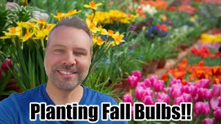 How to Plant Fall Spring Flowering Bulbs  Daffodils Tulips Muscari [upl. by Allcot508]