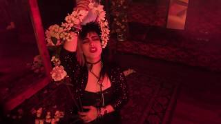 Rosegarden Funeral Party  Mirrors Image Official Music Video [upl. by Oigroig185]