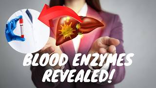 Blood Enzymes Explained Hidden Indicators of Heart and Liver Health [upl. by Kelcey94]