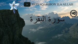 سورة البقرة 💜 علاج القلب و الروح القرآن الكريم 💜 تلاوة هادئة تريح الأعصاب💜 بصوت جميل [upl. by Cleaves673]