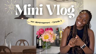 Mini Vlog déménagement  Episode 2 [upl. by Euf]