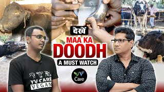 Dekhe Maa ka Doodh  A Must Watch  Vegan Documentary India [upl. by Kelleher317]