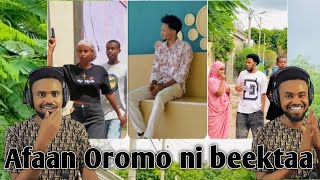 AFAAN OROMO NIBEYTA HI new oromo NewEthiopian AndualemGosaa [upl. by Minoru90]