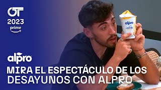 Mira el espectáculo de los desayunos con alpro  OT 2023 [upl. by Levana]