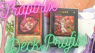 Traptrix Deck Profile 2023 Post Beware of Traptrix Structure Deck OCG Japan [upl. by Ailimat319]