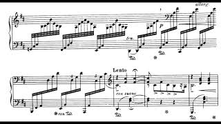 Granen Op 75 No 5 J Sibelius Score Animation [upl. by Xed]