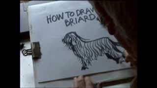 HOW TO DRAW A BRIARD [upl. by Acceber]