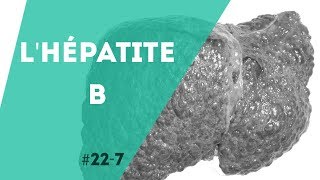 PNN 227  LHépatite B [upl. by Estas]